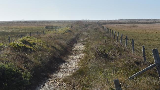 The drain running from the Feast farm’s major spring has dried up for the first time in 90 years. Picture: Jessica Dempster.