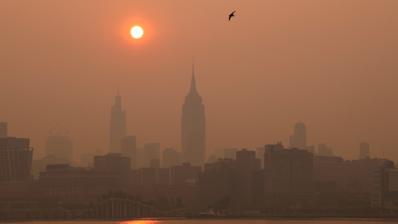 Smog engulfing New York City ‘directly’ attributed to climate change