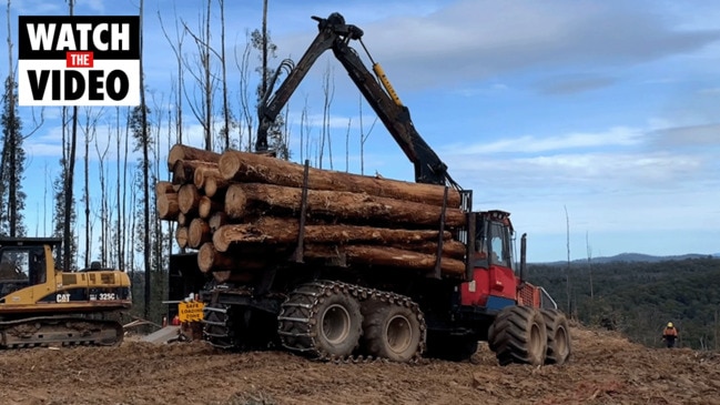 Orbost Timber Shortage