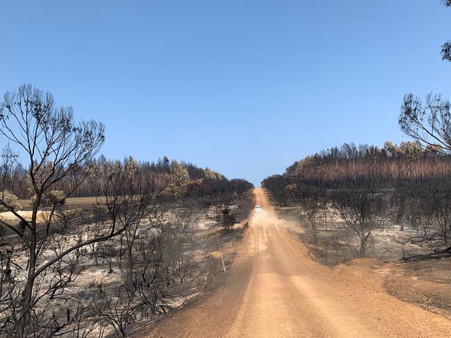 Kangaroo Island, South Australia, after bushfires devastated the area in January causing huge loss of wildlife. For RendezView. Picture: Garnett Hall