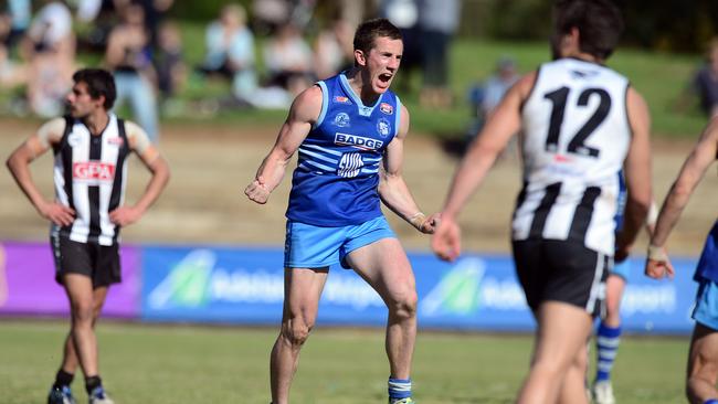 Star forward Tristan Carcuro has left SHOC for the Eagles. Picture: Tom Huntley