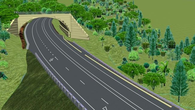 A cassowary corridor will be constructed over the Bruce Highway near El Arish at Smith’s Gap.