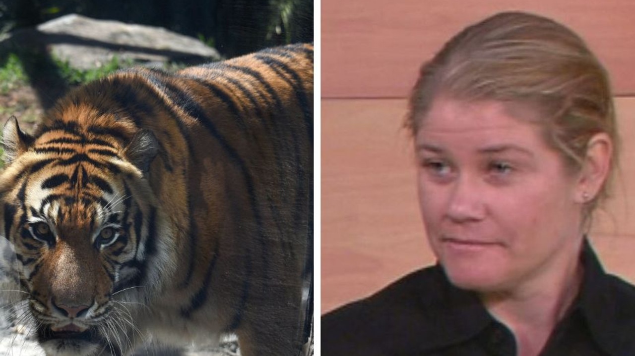 Update on woman attacked by tiger