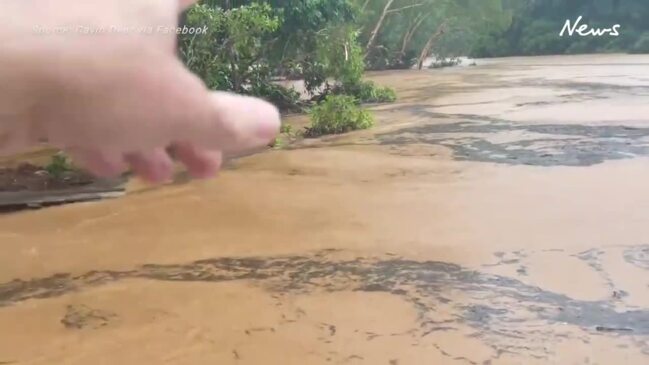 Man found clinging to tree in Far North Qld floodwaters