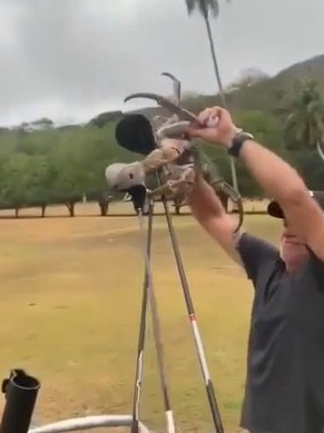 One of the golfers unsuccessfully attempted to dislodge it. Picture: Paul Buhner