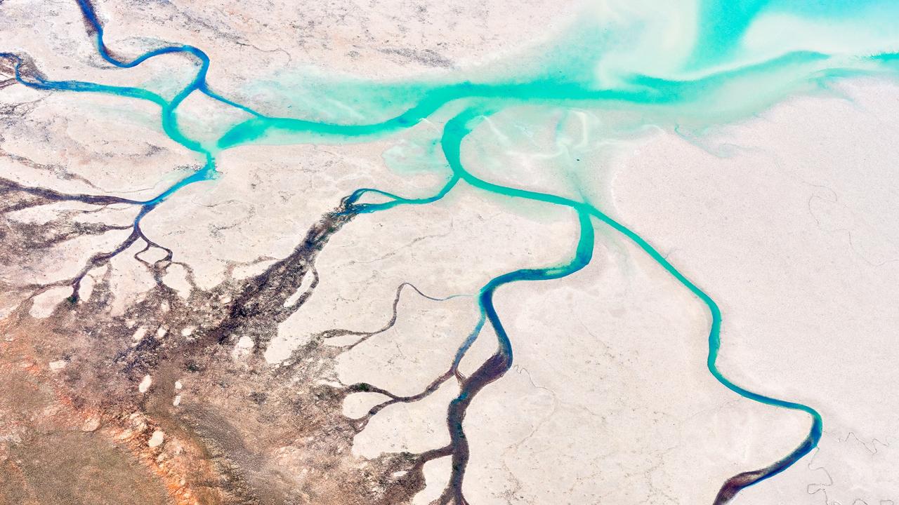 A contrast of colours in this photograph by Tim Wrate. Picture: Tim Wrate/Australian Geographic Nature Photographer of the Year 2021