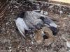 ‘Filthy’: Flying vermin infestation sparks chaos in SA community
