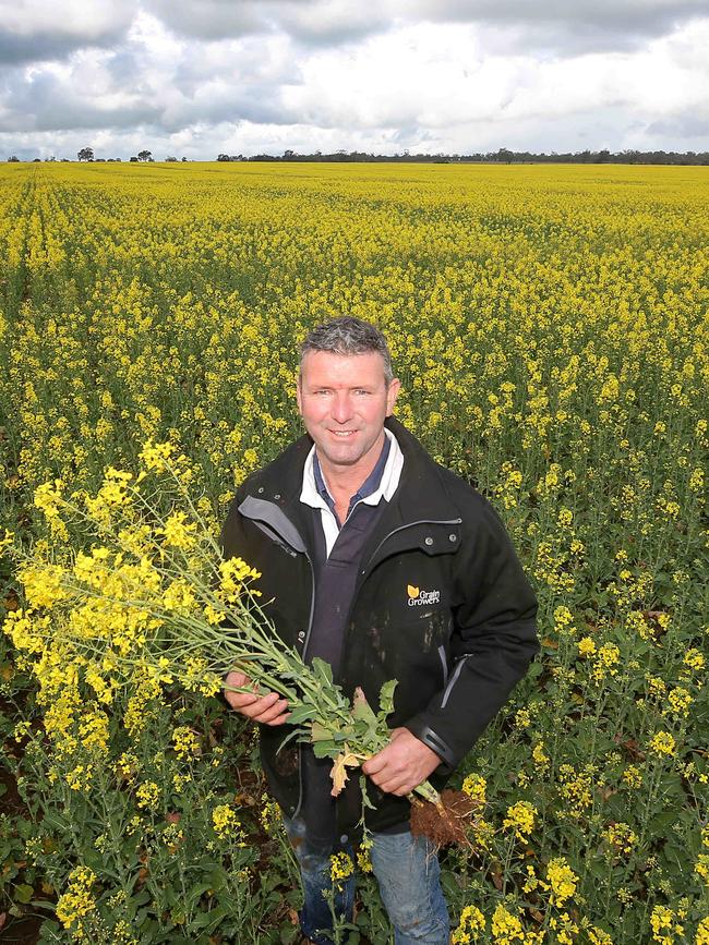 Former Grains Group president Brett Hosking. Picture: Yuri Kouzmin