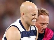 Top-ranked Geelong Cats stories of 2020.