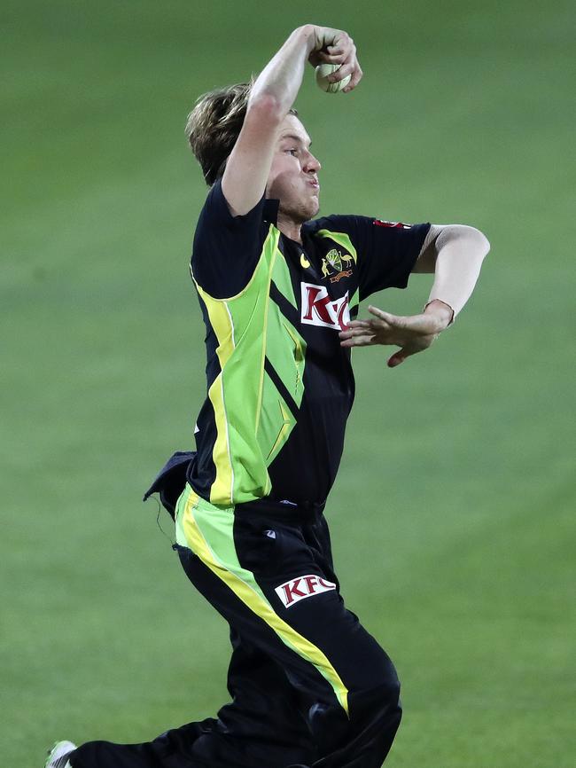 Zampa in action for Australia ... Picture: Sarah Reed