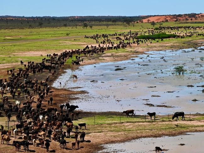 Farms and properties affected by record-breaking widespread floods across western Queensland.