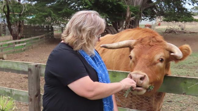 Linda Hay feeding Red the cow at Echo Farm. Picture: Arj Ganesan