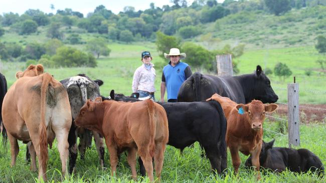 The Sowden family will be selling top-line heifers and steers for the show season.