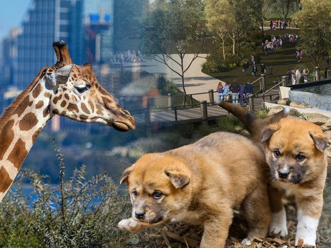 Art for Matt Taylor IV's feature on Sydney zoos: Taronga, Featherdale and Sydney Zoo. Art: Daniel Muprhy