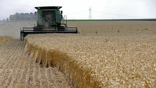 A combine in an Illinois wheat crop. A lockdown-induced baking bonanza in the U.S. is helping to boost prices. Picture: Reuters