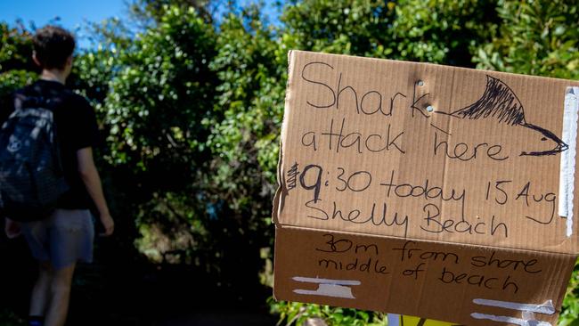 Shark attack sign at Shelly Beach. A 35-year-old woman suffered severe lacerations to her leg after a shark attack off Shelly Beach in Port Macquarie. Pic: Lindsay Moller