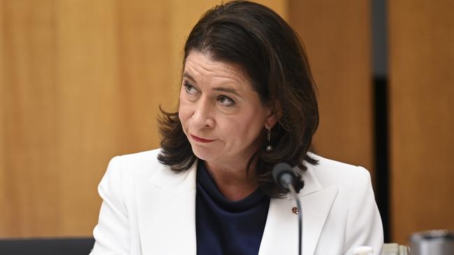 Senator Susan McDonald at Parliament House in Canberra. Picture: NewsWire/Martin Ollman