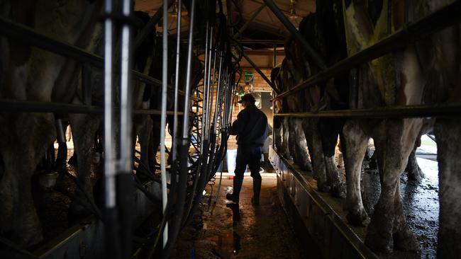 Milk production is set to fall to just on eight billion litres this season, down from nine billion five years ago.