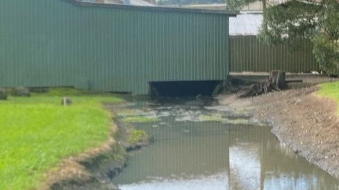 Lismore Workers Golf Club manager Brad Mott said the drain - that all the water currently flows through - is the reason the golf course rapidly floods during heavy rain.