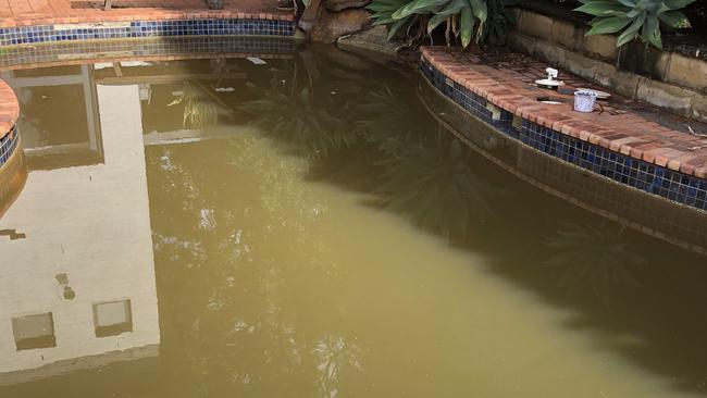 Pool filled with raw sewage in Castle Hill days after the Sydney storms.