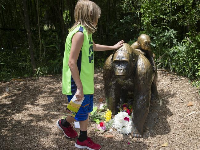 A child touches the head of a gorilla statue outside the Gorilla World exhibit at the Cincinnati Zoo &amp; Botanical Garden. Picture: AP Photo/John Minchillo