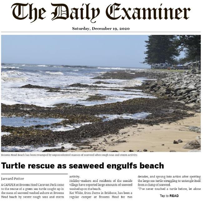 The Daily Examiner digital print edition for Saturday, 19th December, 2020.