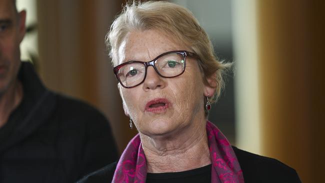 Australian Greens Senator Janet Rice is chairing an inquiry into concussion in sport. Picture: NCA NewsWire / Martin Ollman