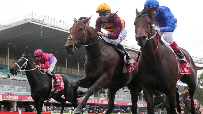 Verry Elleegant (left) finished third behind State Of Rest and Anamoe in the Cox Plate. Picture: Racing Photos via Getty Images