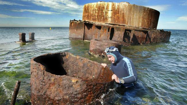 Cerberus future in doubt over council concrete fill-in plan | Herald Sun