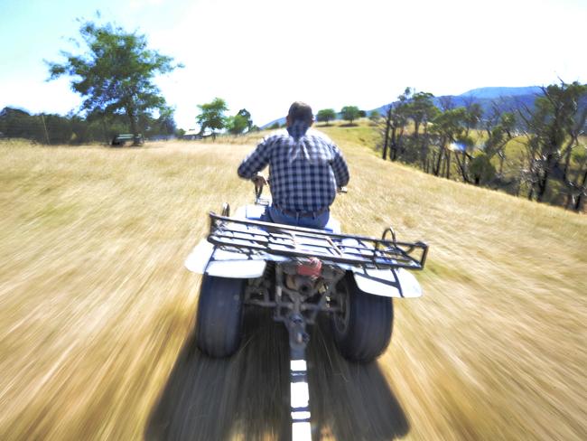 n34fp308 Big cat sightings continue to be reported from across the Yarra Valley. Ken Lang operates Yarra Valley Game Meats near Healesville on over 60 acres. He regularly loses stock to foxes and eagles, and the occasional wild dog. Ken claims to have sighted a large black animal stalking his deer. Ken travels around his paddocks on a quad bike checking on his stock.