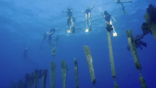 Australia's Olympic team swim at the Museum of Underwater Art
