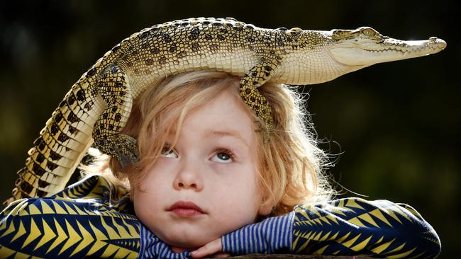 Jacques Morello, 4, with Blondie the saltwater crocodile — one of his family’s many animals at their Torquay home. Picture: Jay Town.