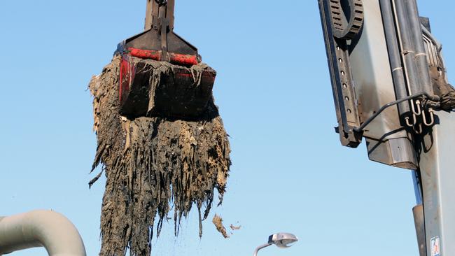 Part of a fatberg that was removed from Hunter Water's wastewater treatment plant at Morpeth in late 2019. Supplied.