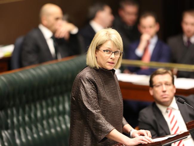 Katrina Hodgkinson, Cootamundra Nationals MP who opposes the Greyhound ban. Picture Craig Greenhill