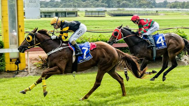 Wanderson D'Avilla aboard Banshee Jet Trained by Alex Malliff of Mareeba. Picture: Peter Roy.