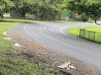 Brinsmead residents have been appalled after a flock of cockatoos were run down by a motorist on Loridan Dr last week. Picture: Kody Hawkins