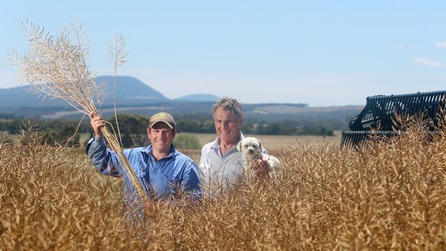 Rob Cameron and his father Andy, harvesting canola at Mount Mercer. Picture: Yuri Kouzmin