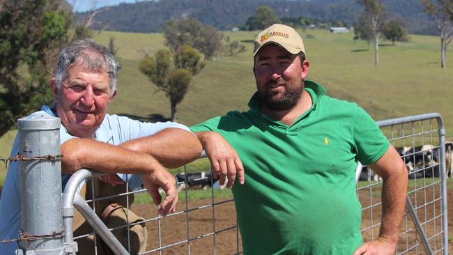 Dairy production NSW: Cobargo pastures love lashing from storms | The ...