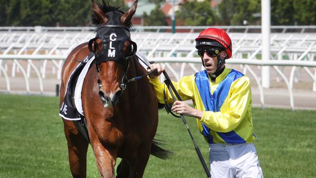 Jockey John Allen gets out of the saddle on Right You Are at the conclusion the 2023 Melbourne Cup. Picture: David Caird