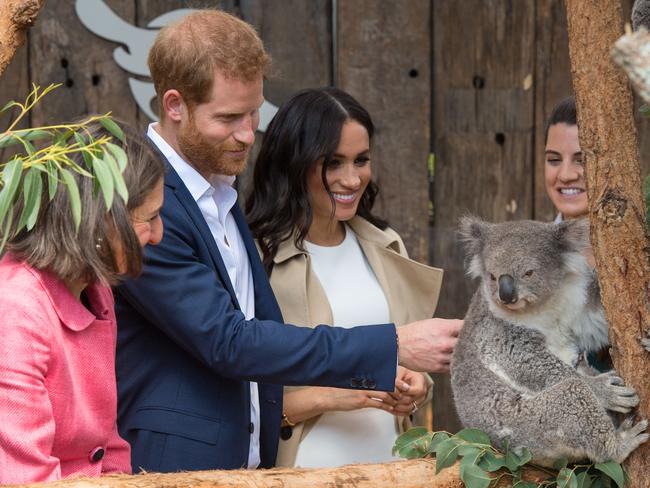 The couple headed to Taronga Zoo after their Opera House engagement, where they met Ruby the koala.. Picture: Dominic Lipinski/Getty Images