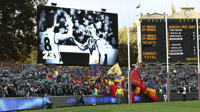 The crowd at the northern end of Adelaide Oval for Showdown 44. Picture: Sarah Reed