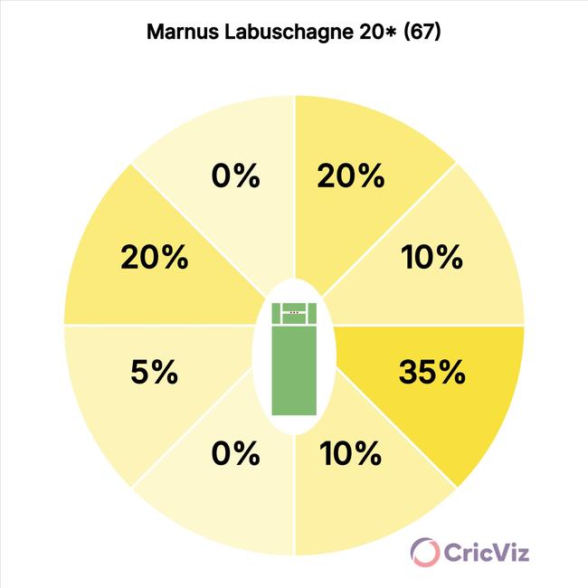 Marnus Labuschagne wagon wheel from the first day of the Adelaide Test.