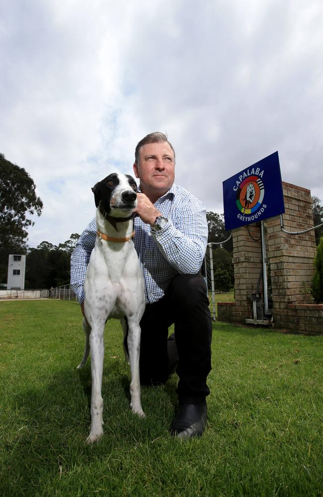 Capalaba Dogs President John Catton and Sunny. Pic Tim Marsden.