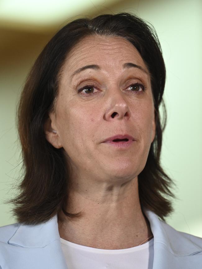 Independent MP for Mackellar Dr Sophie Scamps. Picture: NCA NewsWire / Martin Ollman