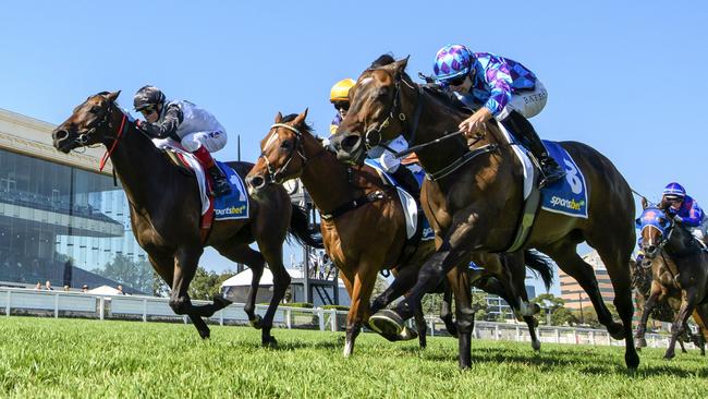 Mr Brightside (left) had a slight advantage over Pride Of Jenni (right) when the pair last met over 1400m in the CF Orr Stakes at Caulfield in February. Picture: Getty Images