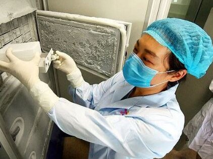 A scientist at the Wuhan lab, which has been blamed for the coronavirus pandemic. Picture: Supplied