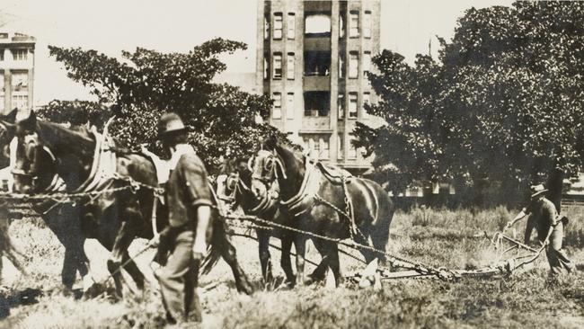 Hyde Park being excavated for underground railway system in 1922. Picture: State Library of NSW