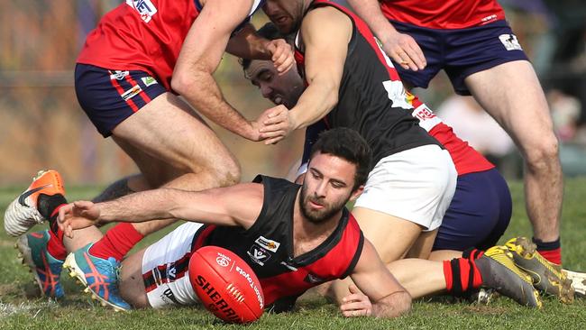 Matthew Panuccio looks to knock the ball out of the pack. Picture: Hamish Blair