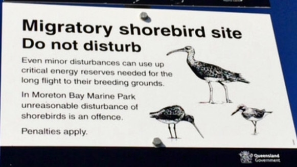 Locals say council needs to enforce penalties to stop people ignoring shorebird sanctuary warning signs.