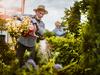 Jon Lamb’s final gardening column